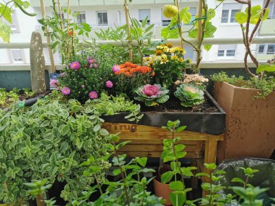 Von Privat: Helle Wohnung in Ludwigshafen-Süd - Gartenidylle mitten in der Stadt