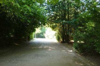 2025: ALTER STADTPARK BESTLAGE,  3 ZI.-WE,  PARKETT,  SW Balkon, Weitblick