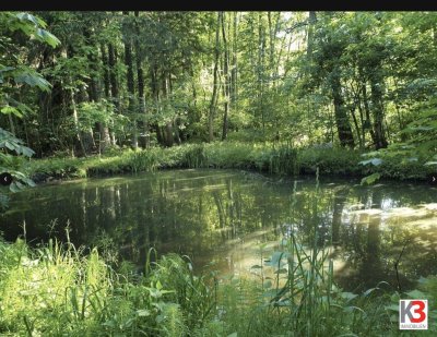 K3 - Chiemsee - Der Grundstein ist gelegt: Rohbauhaus zum Fertigstellen nach Ihren Vorstellungen!!!