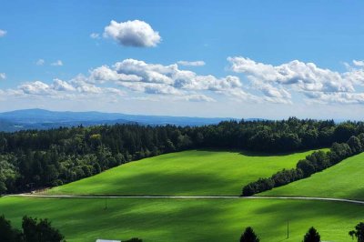 Zwei Wohnungen mit unvergleichlichem Ausblick