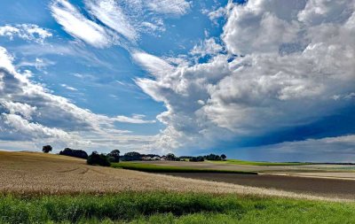 EFH Paradies mit Ökogarten und separatem Bauplatz
