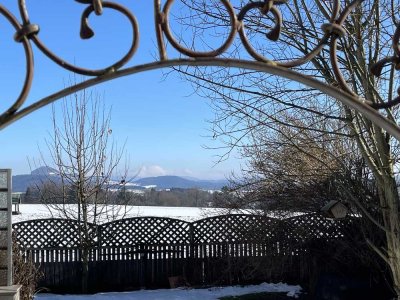 Stilvolles Doppelhaus in elegantem Split-Level-Design in Wangen