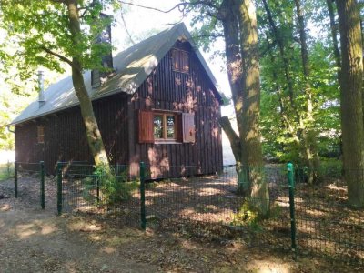 Ferienhaus Hunsrück - Holzhaus am Waldrand mit Alleinlage