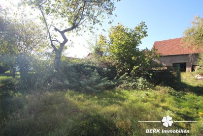 BERK Immobilien - bebautes Bauträgergrundstück + Gartengrundstück in begehrter Main-Lage