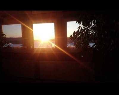 Sonnige 2 Zimmer DG Wohnung mit Blick auf Pferde, Wald und Wiesen