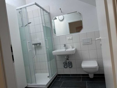 Geräumige lichtdurchflutete 1-Zimmer-DG-Wohnung in Pirna
