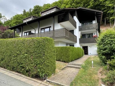 Neu renovierte Wohnung mit großem Balkon und tollen Ausblick