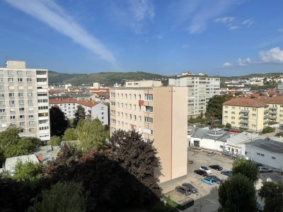 Beschreibung