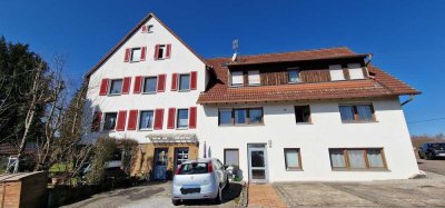 Schöne  2 Zimmer EG -Wohnung  in Boll mit EBK, an Paar oder Einzelperson zu Vermieten