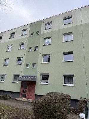 Charmante 3-Zimmer-Wohnung nahe Salzgittersee