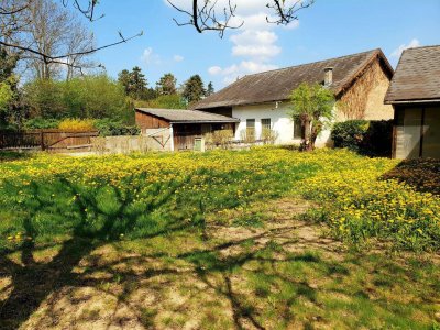 Bauernhaus mit zwei Wohneinheiten + Nebengebäude!