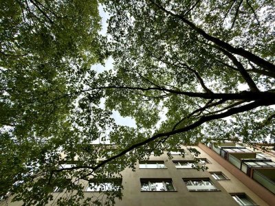 Betreutes Wohnen ab 50 Jahre in der City-West!