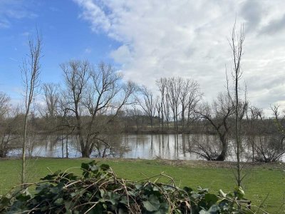 Stilvolle, 4-Zimmer-Erdgeschoss-Wohnung mit Mainblick in Seligenstadt