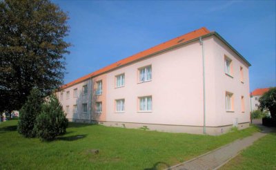 Attraktive 4-Raum-Wohnung im Geiseltal