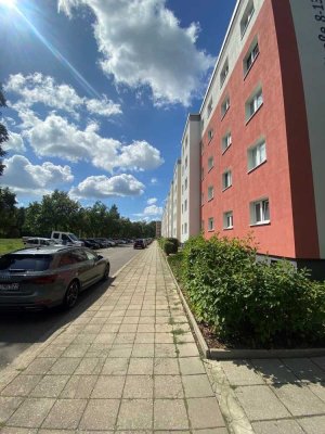 Klein aber fein! Frei ab sofort! / Small but nice! Available right away!