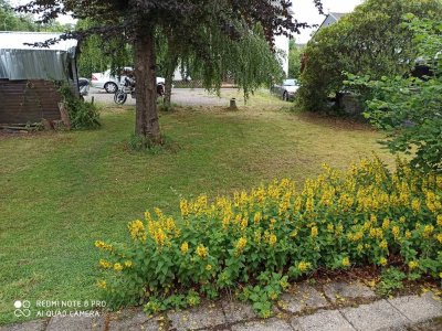 Doppelhaushälfte in Gummersbach-Berghausen: Eigennutzung oder Kapitalanlage