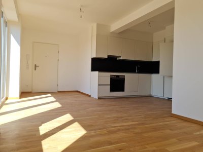 Licht und Lifestyle – Urban Living im amerikanischen Raumkonzept