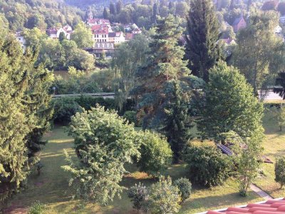 Neckarblick: Renovierte 3-Zimmer-Wohnung mit Balkon, Stellplatz, Grundstück und parkähnlichem Garten