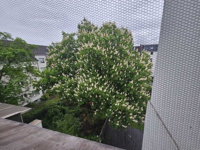 Duisburg-Hochemmerich -  neu renovierte 3-Zimmer-Wohnung/ Balkon