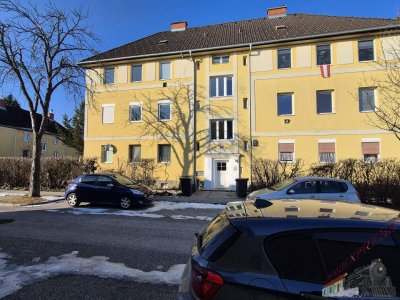 Zwei Tiny Wohnungen in Ruhelage