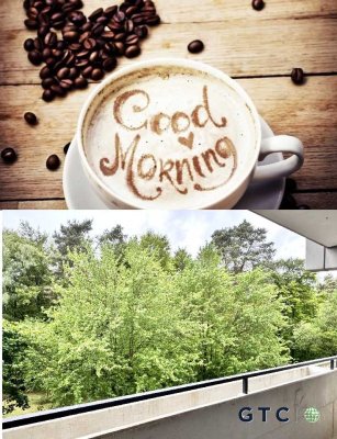 Guten Morgen KAFFEE mit Blick auf den WALD * frisch RENOVIERT * 2 x BALKON * KL WEST