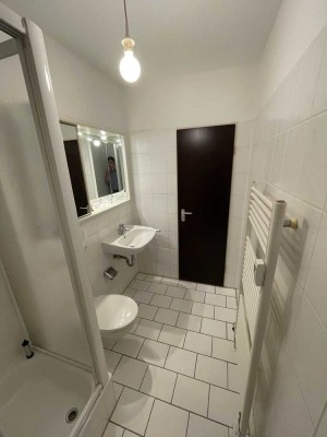 Attraktive 1-Zimmer-Wohnung mit Dachterasse in Leipzig