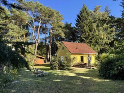 Wohnen im Küstenwald – nur wenige Schritte bis zum Strand