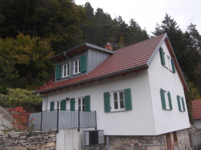 Energieeffiziente und hochwertige modernisierte 2-Zimmer - EG-Wohnung