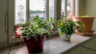 ERSTBEZUG! Exklusive Wohnung in denkmalgeschützter Villa mit Parkgarten & Stellplätzen am Stadtrand