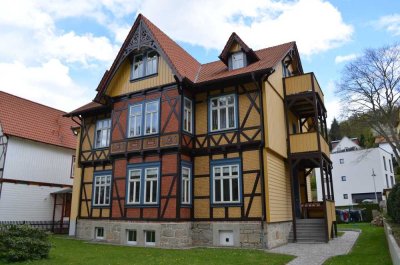 Gemütliche Wohnung in Fachwerkvilla-TOP Wohnlage-ökologisch ausgebaut-gesund wohnen