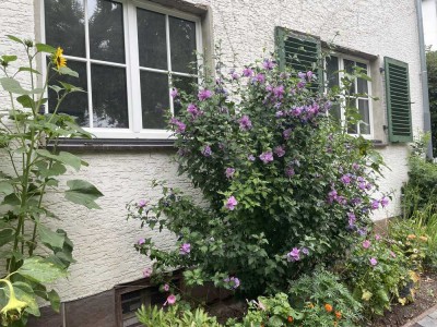 Hofgeismar-Brunnenstraße, großzügige 3,5-Zimmer-Wohnung im Erdgeschoss