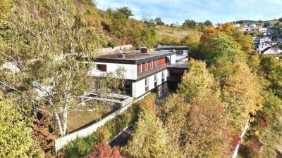 Wohnen & Arbeiten (Büro/Praxis/Therapie) auf einem Traumgrundstück mit 24.000m² Grund in Alleinla