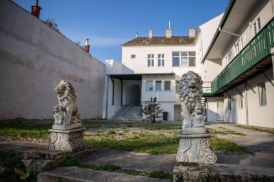 Hol´ mich aus dem Dornröschenschlaf! Zinshaus im Zentrum von Baden