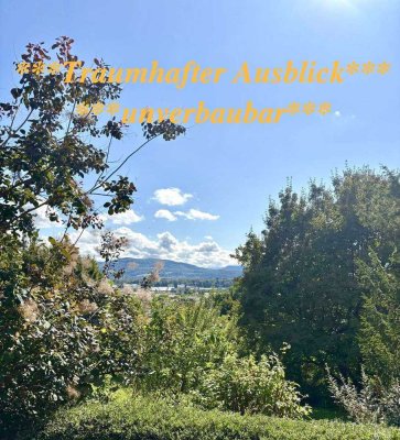 **Grundstück für EFH oder DHH in Bestlage Talstr. von Grenzach mit unverbaubarem Blick**