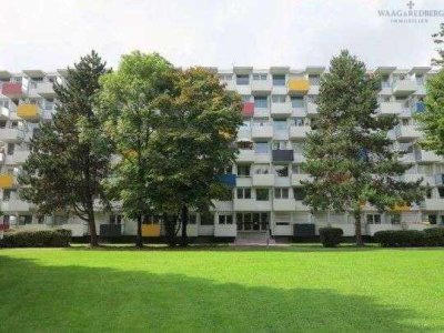 Single Appartement in bester Lage