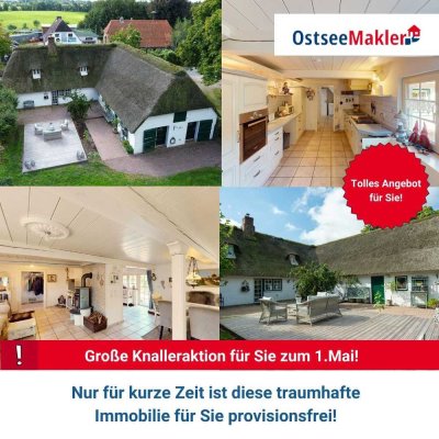 Provisionsfrei! Charmantes Reetdach mit Platz für Gäste oder Mehrgenerationen!