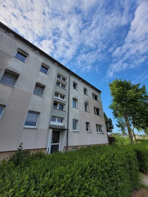 Frisch renovierte Wohnung wartet auf Ihre individuelle Note