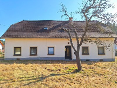 ZWEI WOHNHÄUSER MIT CHARME UND POTENZIAL IN ST. LORENZEN AM WECHSEL