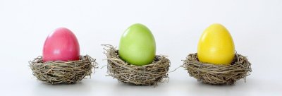 Osteraktion - 3 Monate Miete frei! Es grünt so grün wenn....