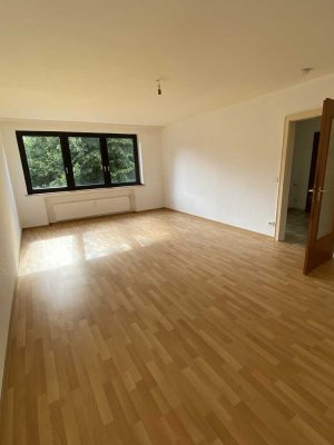 Schöne helle Wohnung mit zwei Zimmern und Balkon in Essen