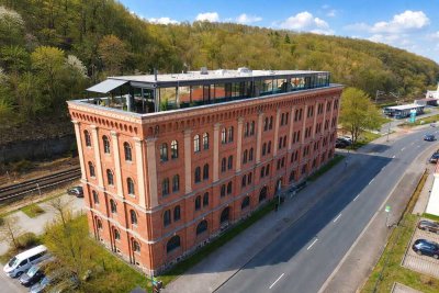 Lichtdurchflutetes Penthouse mit Kamin, Smart-Home & Panoramaterrasse
