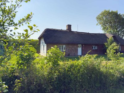 Kleines Doppelhaus unter Reet in Nordseenähe - Halbinsel Nordstrand