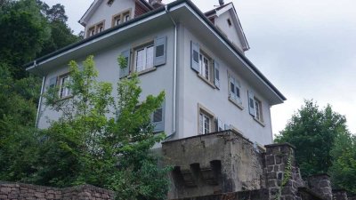 Einzigartige 3-Zimmer-Wohnung mit Kamin & Chalet-Charme in historischer Villa