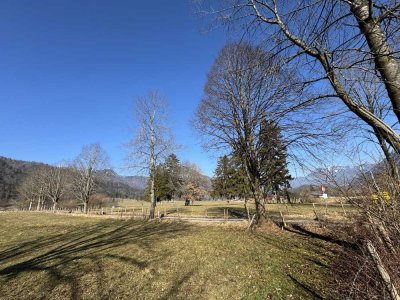 Teilerneuerte Süd-West-Haushälfte mit Doppelgarage in stiller Randlage