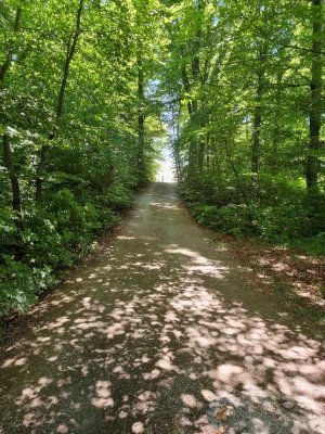 Grüne Oase in Kirchseeon