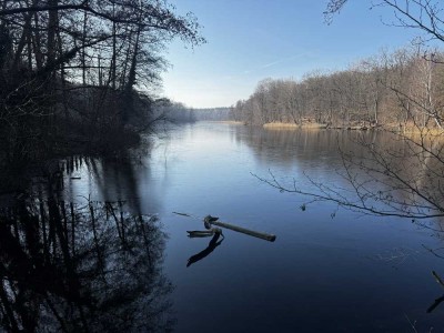 Wunderschöne 2-Zimmerwohnung unweit Krumme Lanke im grünen, ruhigen Zehlendorf