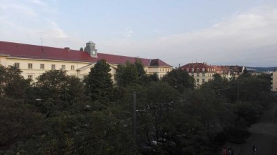 Helle 1-Zimmer Wohnung in der Oststadt