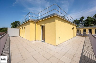 Neulengbach | Erstbezug | Miete | Haus 1 - Top 10 | 3 Zimmer Dachgeschoß mit 48 m² Terrasse