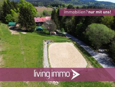 Hunde, Pferde & Gäste willkommen – Vielseitiges Landhaus in Naturlage in der Neureichenau