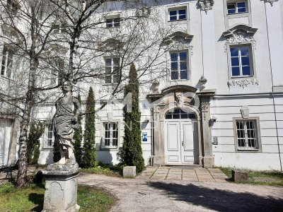 Maisonettewohnung im Schloss Traunegg / extra Schlafzimmer